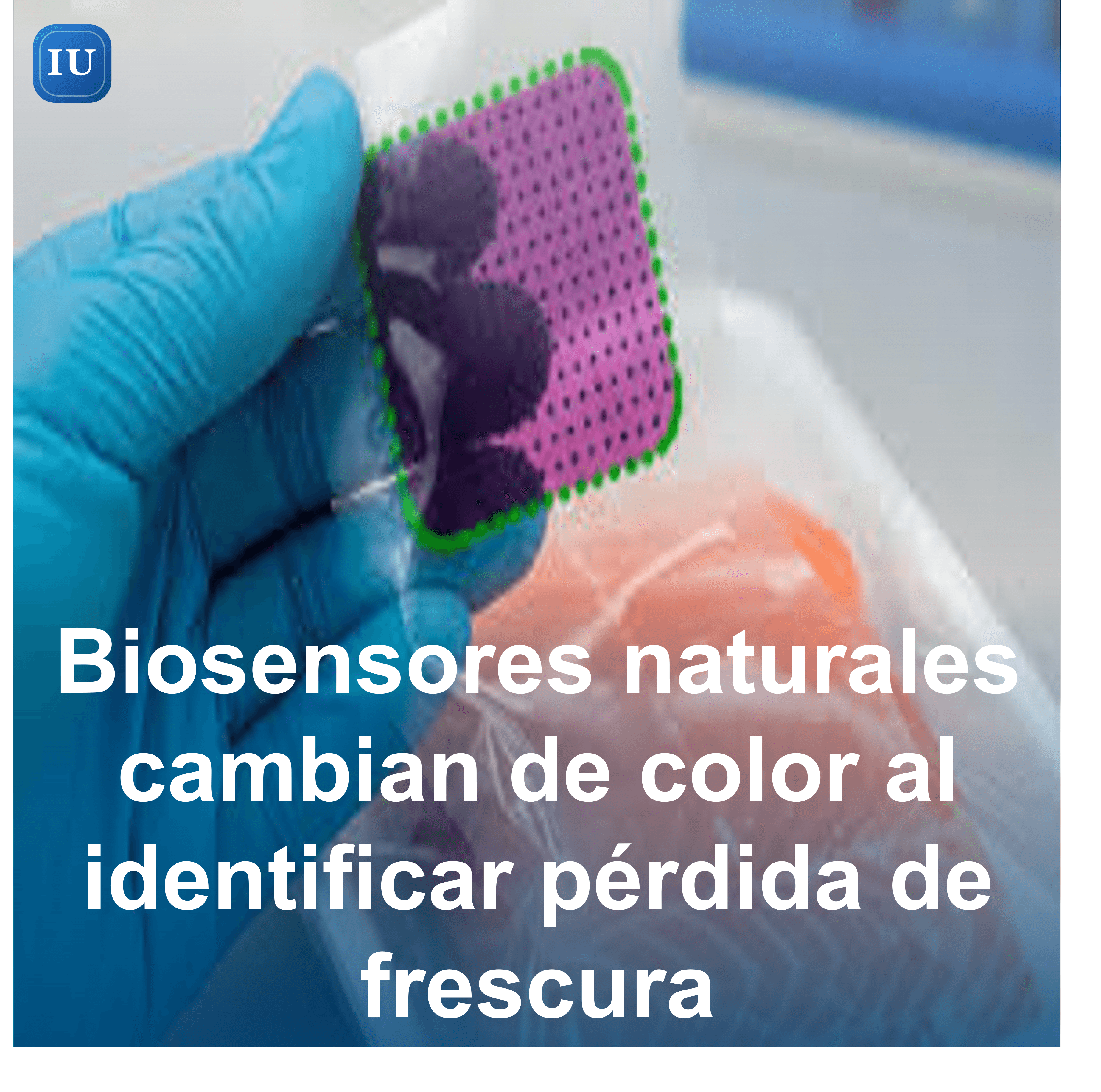 Biosensores naturales cambian de color al identificar pérdida de frescura