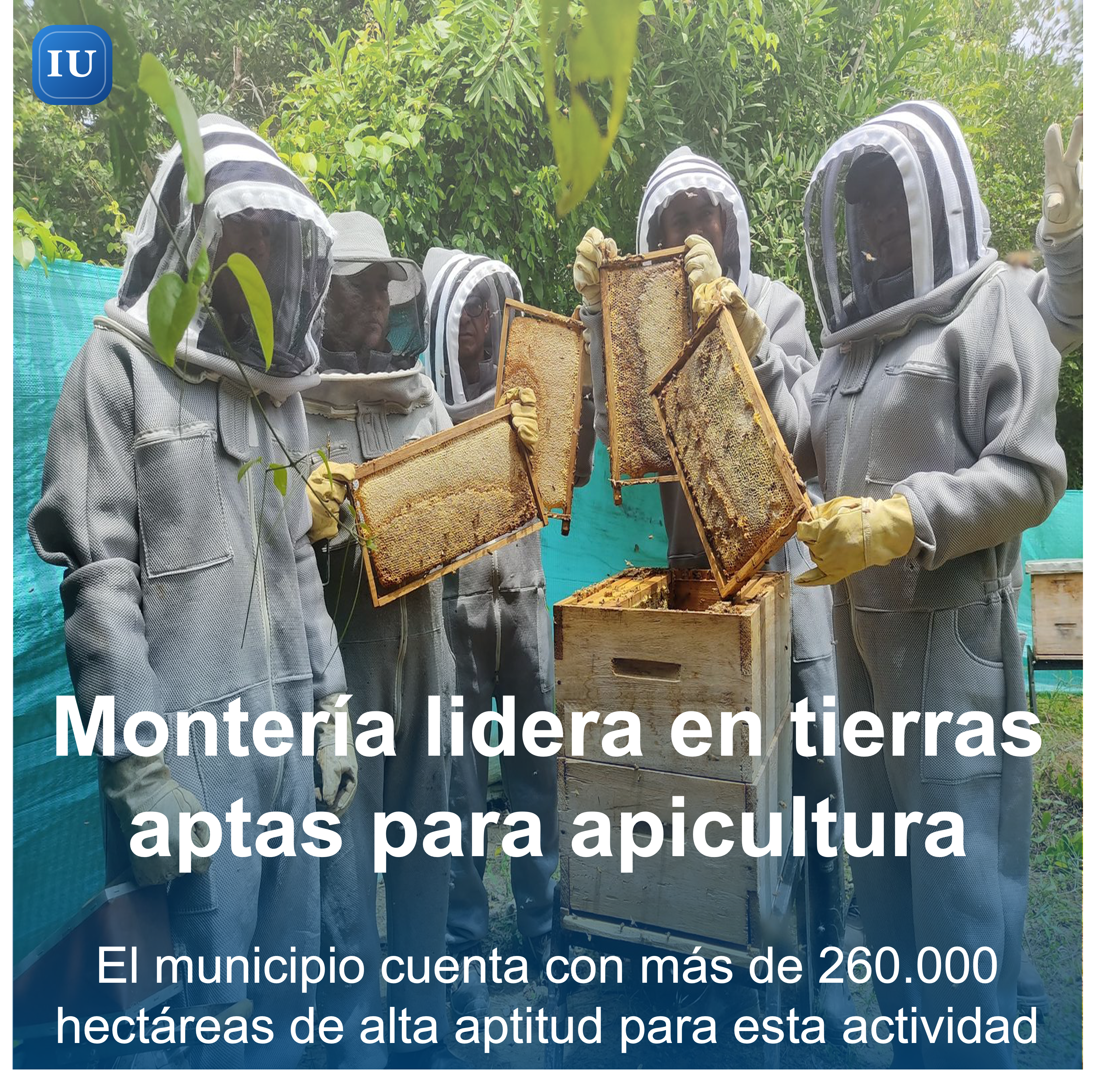 Montería lidera en Colombia por tierras aptas para la apicultura